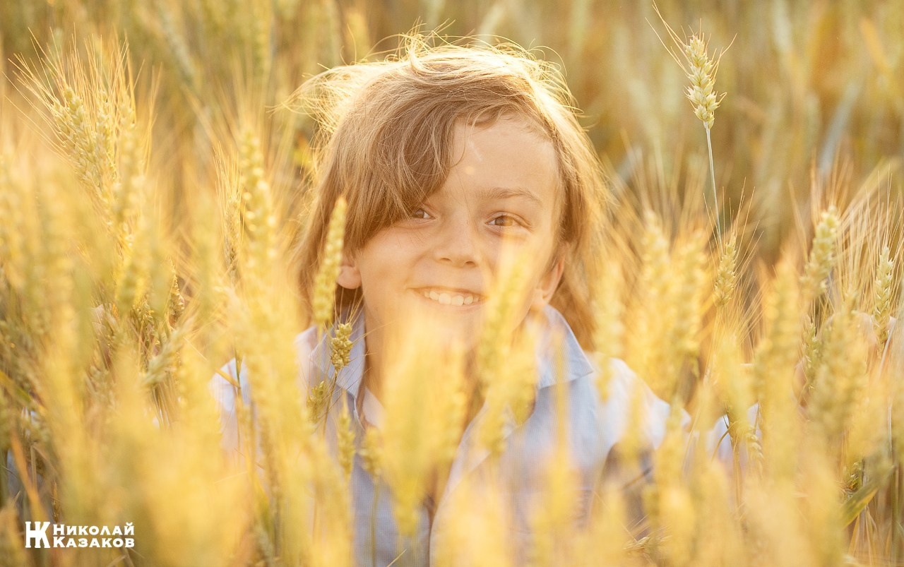 Позитивный портрет маленького мальчика с светлыми волосами в лучах заката, играющий в пшеничном поле во время фотосессии.