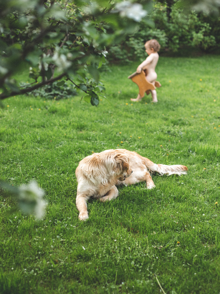 Под яблоней в нашем саду. Света Полетаева Москва