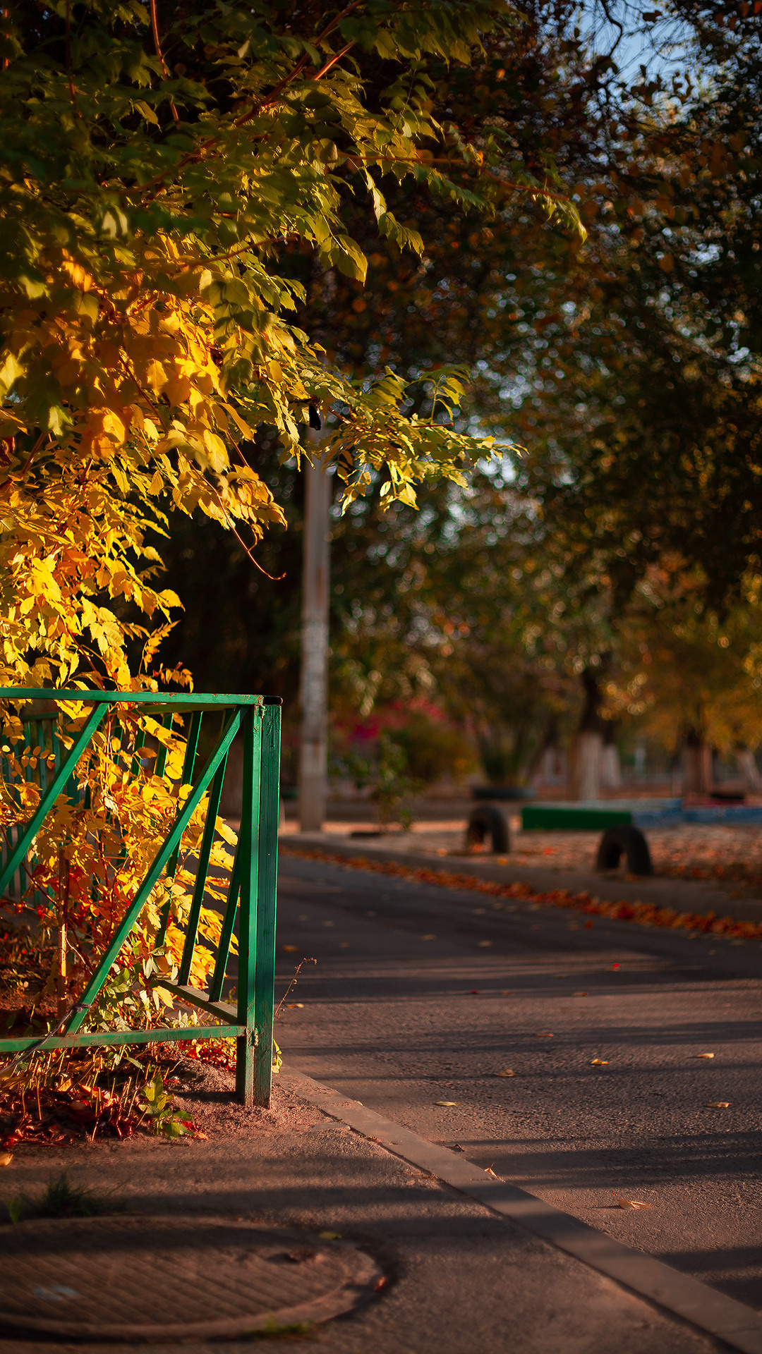 Цветы, которые принимают участие в фудфото. Cake food photo