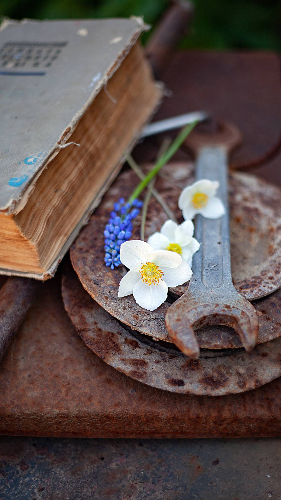 Цветы, которые принимают участие в фудфото. Cake food photo