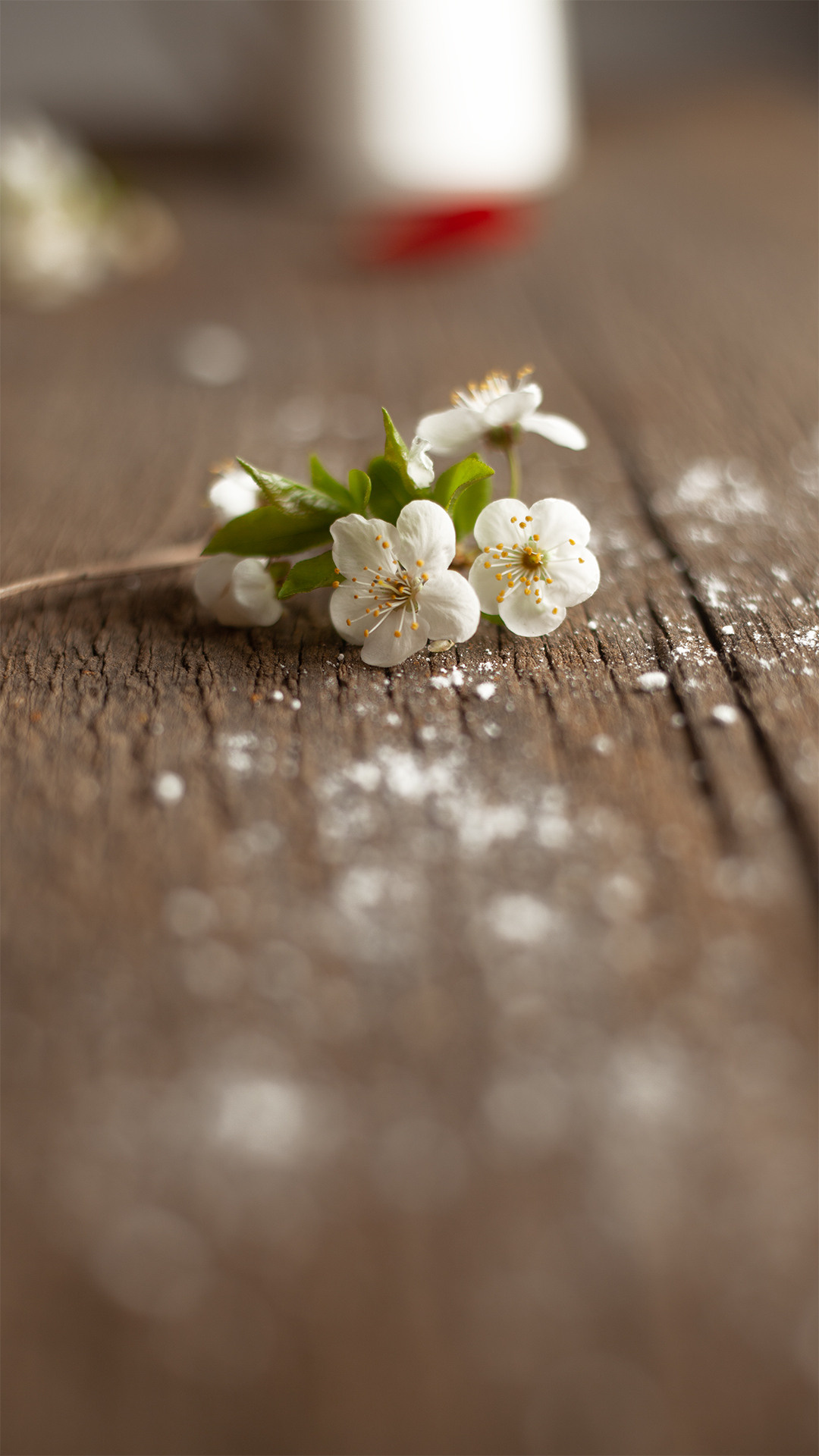 Цветы, которые принимают участие в фудфото. Cake food photo