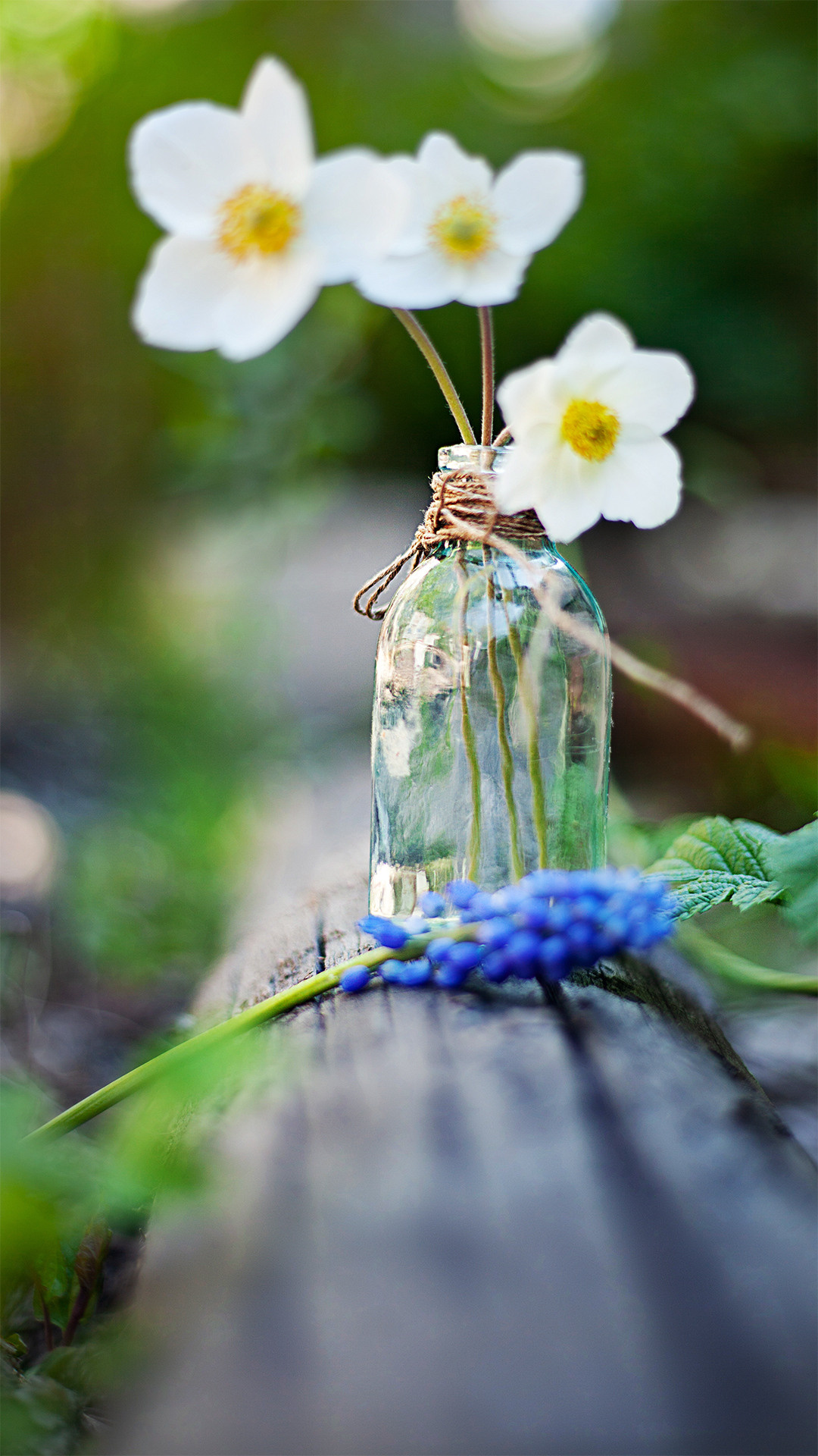 Цветы, которые принимают участие в фудфото. Cake food photo