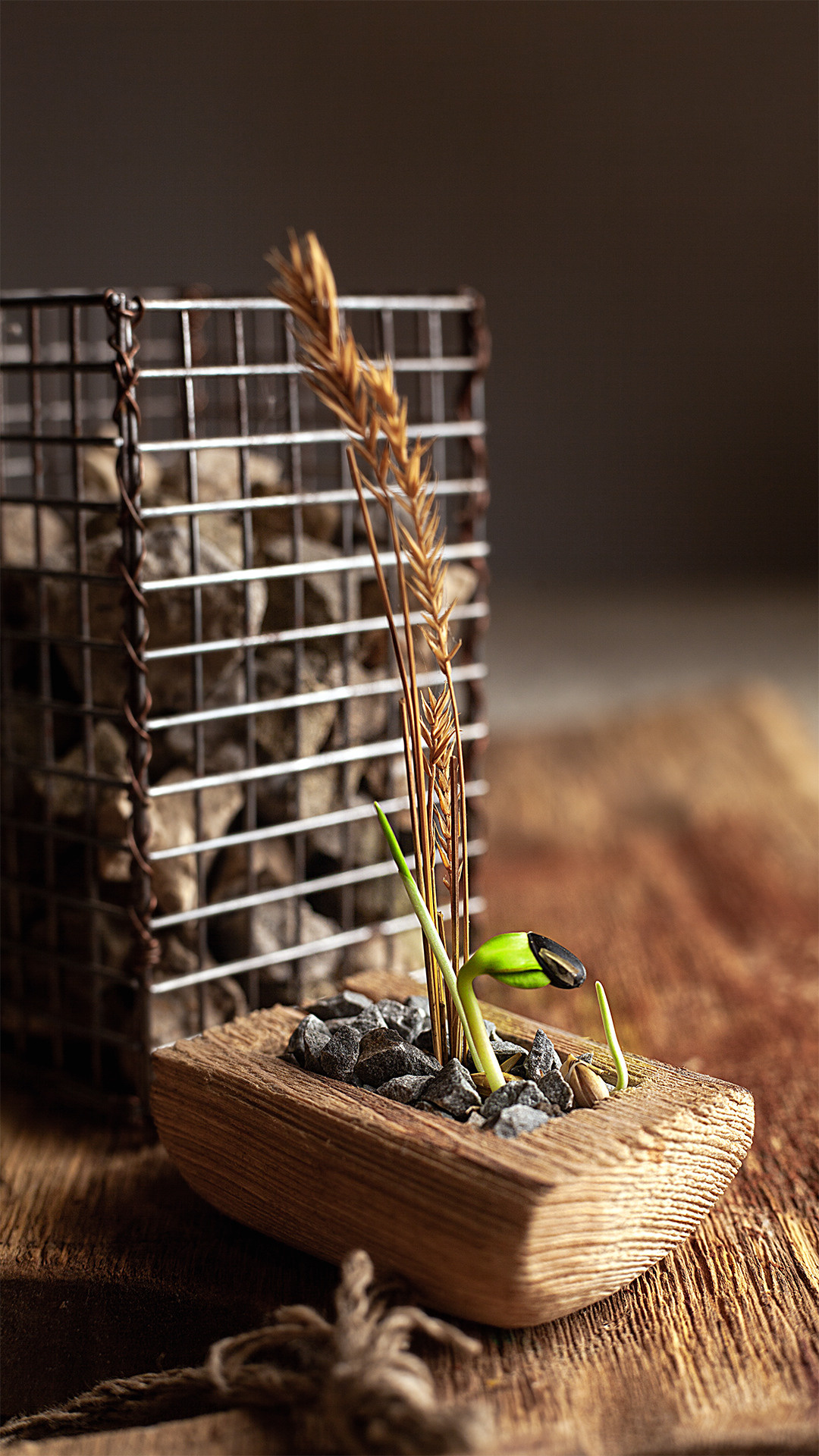 Цветы, которые принимают участие в фудфото. Cake food photo