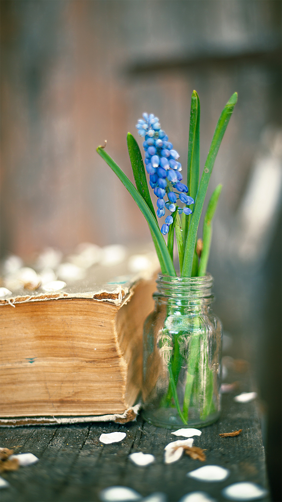 Цветы, которые принимают участие в фудфото. Cake food photo