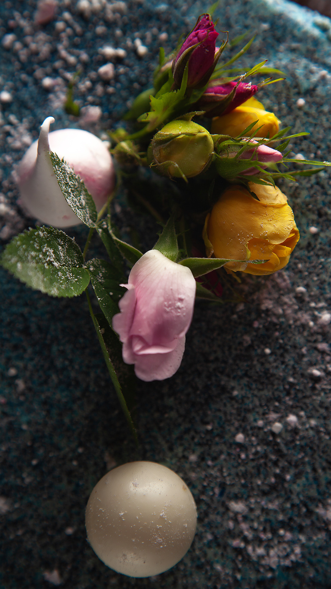 Цветы, которые принимают участие в фудфото. Cake food photo