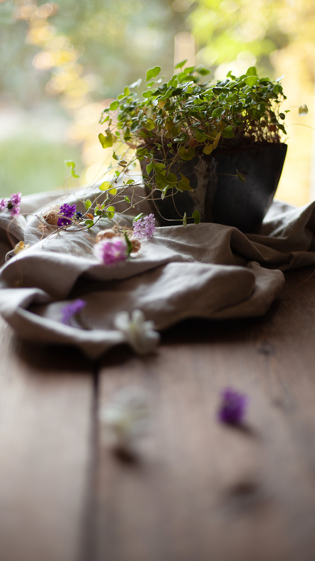 Цветы, которые принимают участие в фудфото. Cake food photo