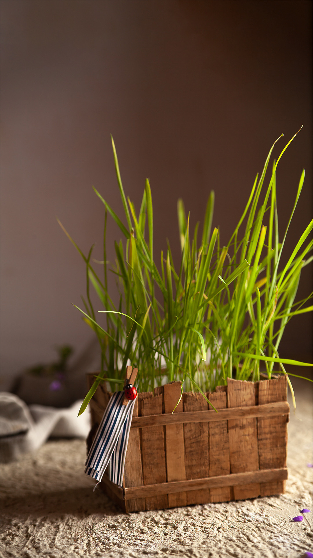 Цветы, которые принимают участие в фудфото. Cake food photo