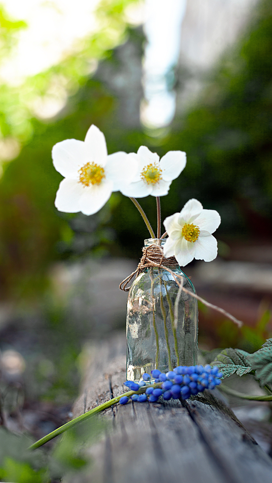 Цветы, которые принимают участие в фудфото. Cake food photo