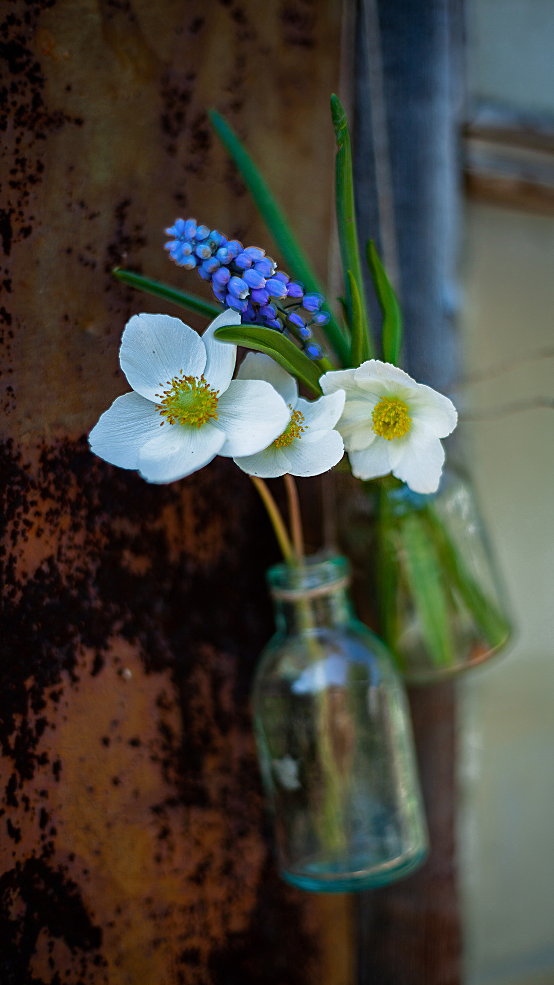 Цветы, которые принимают участие в фудфото. Cake food photo