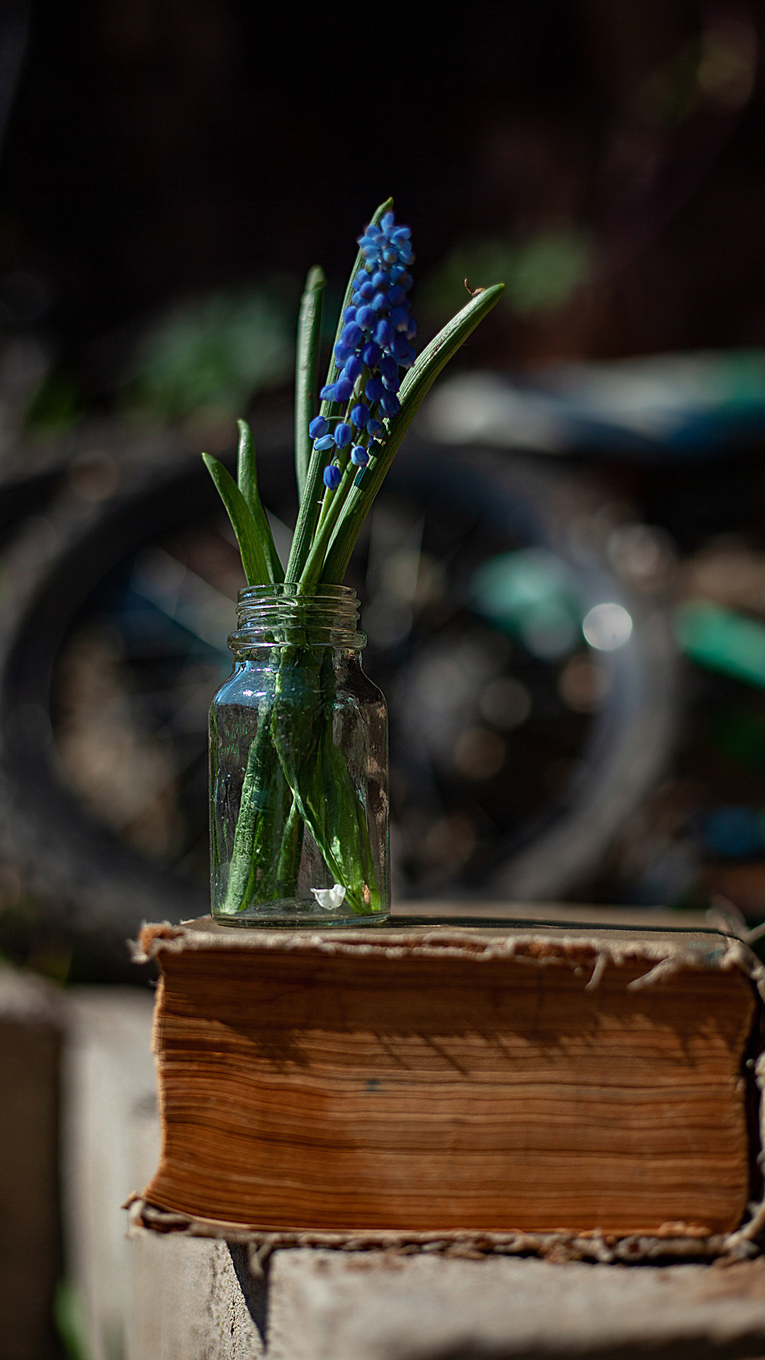 Цветы, которые принимают участие в фудфото. Cake food photo