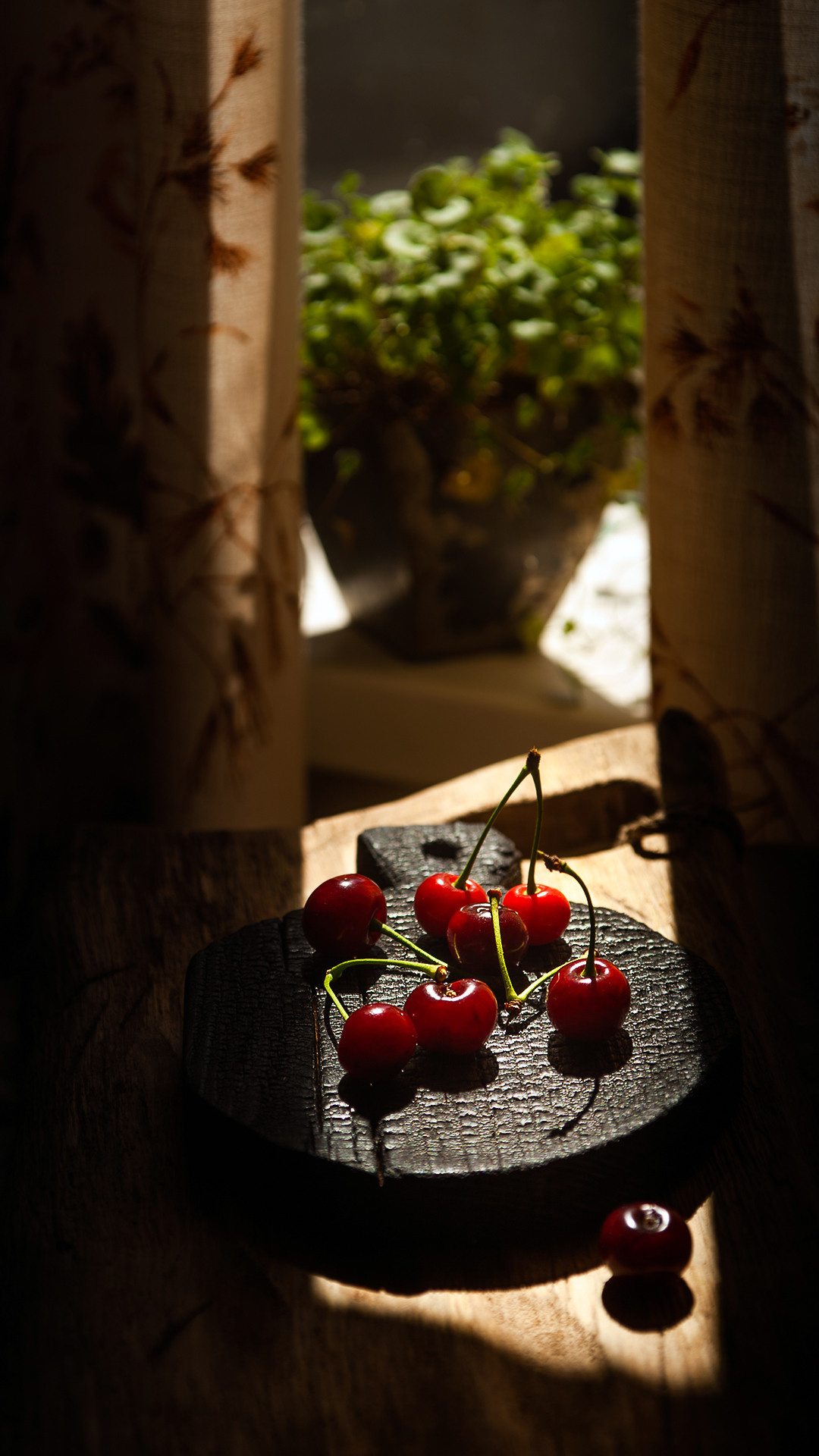 Цветы, которые принимают участие в фудфото. Cake food photo