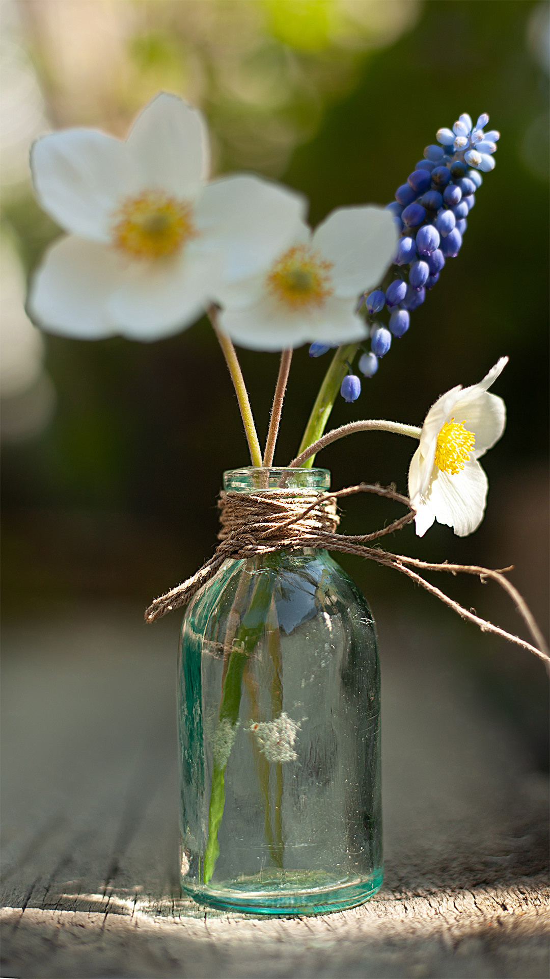 Цветы, которые принимают участие в фудфото. Cake food photo
