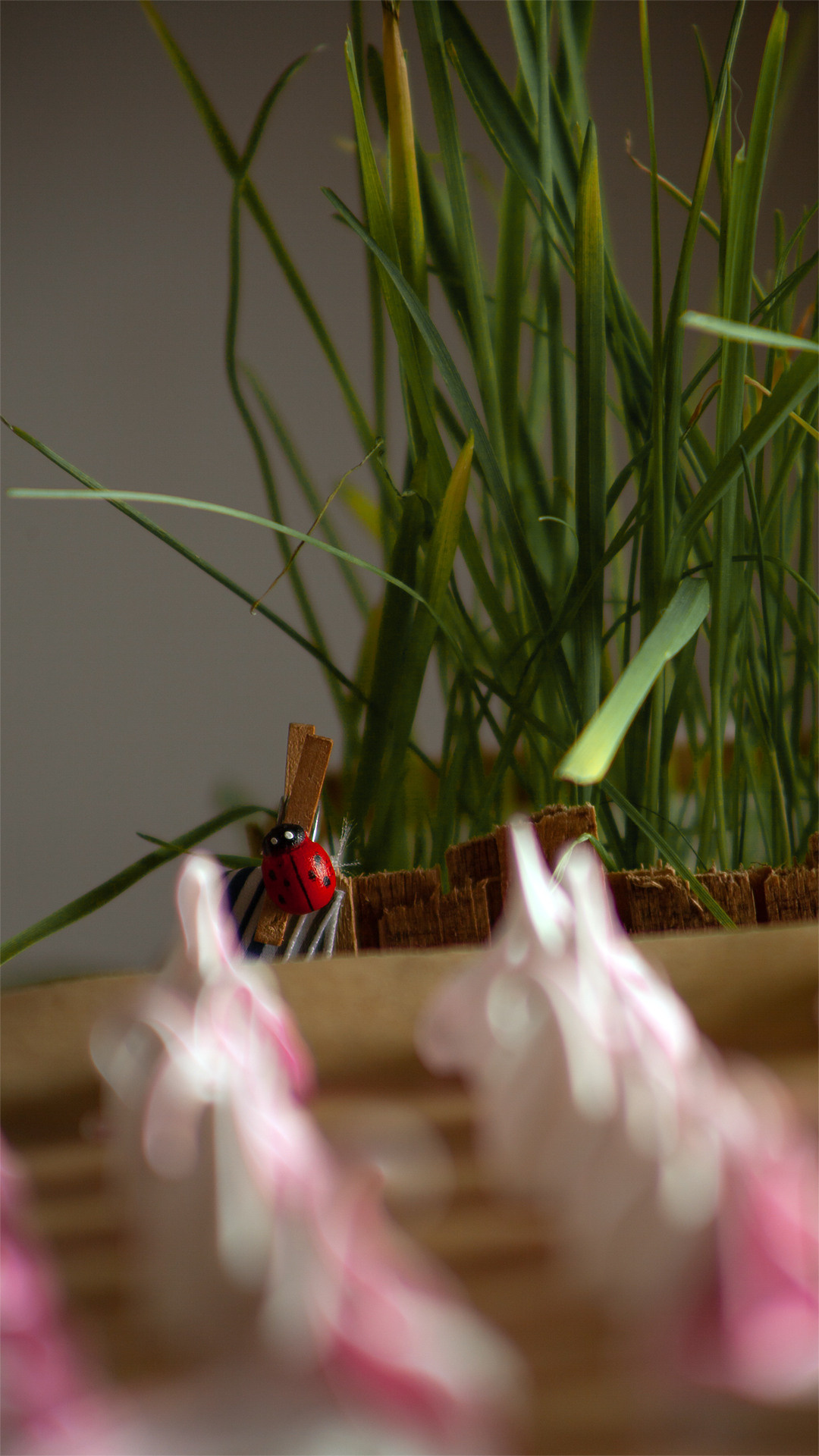 Цветы, которые принимают участие в фудфото. Cake food photo