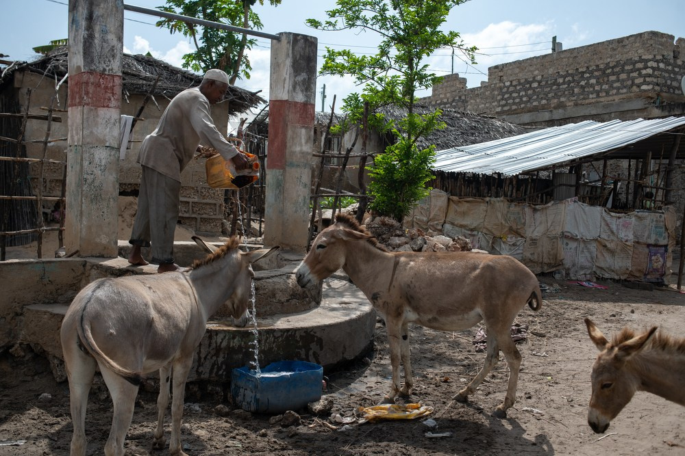 Фототур в Кению. Чунга-чанга