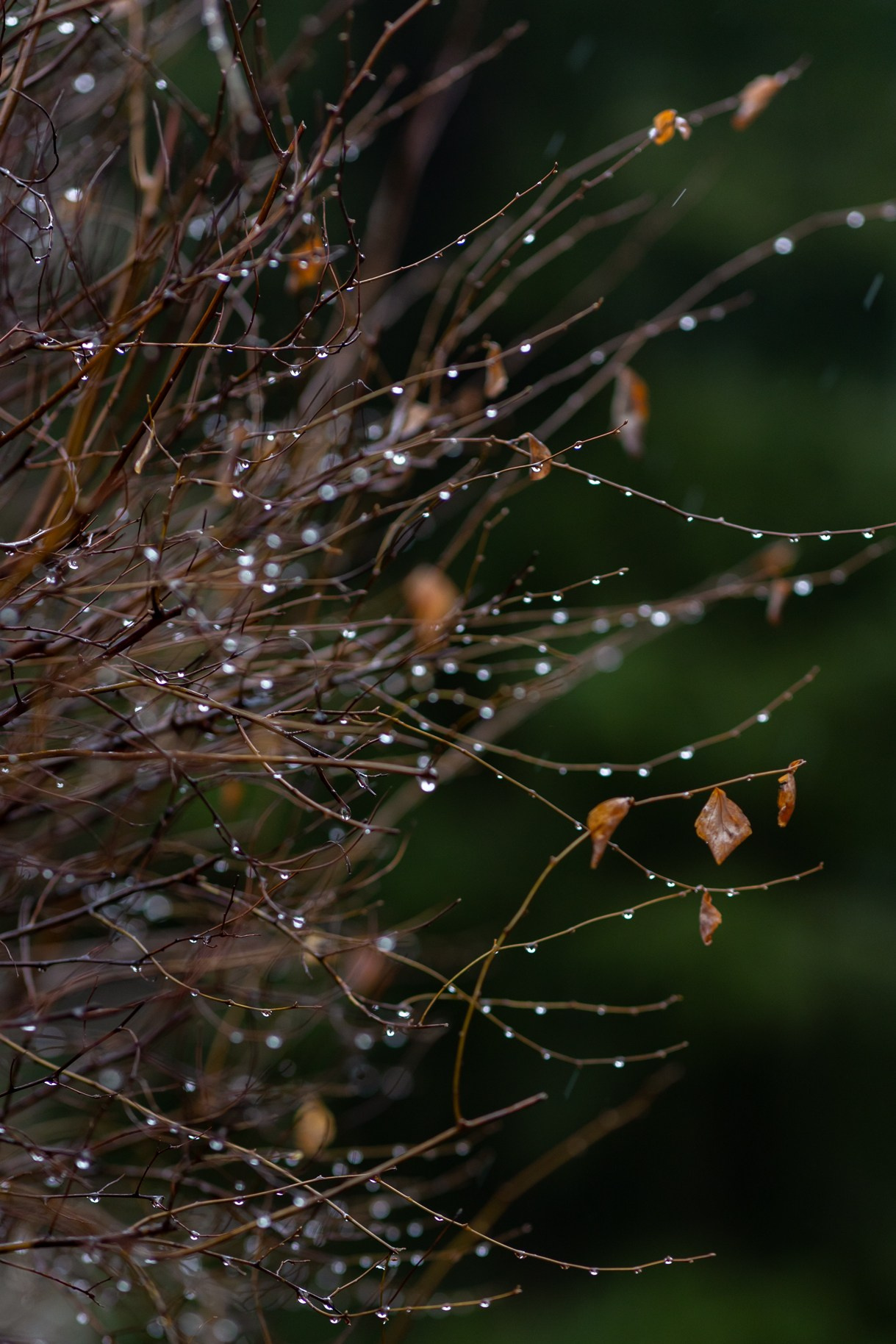 22.03.24 В память об этом дне…. Семейный и детский фотограф |Брянск| Анастасия Перепелкина