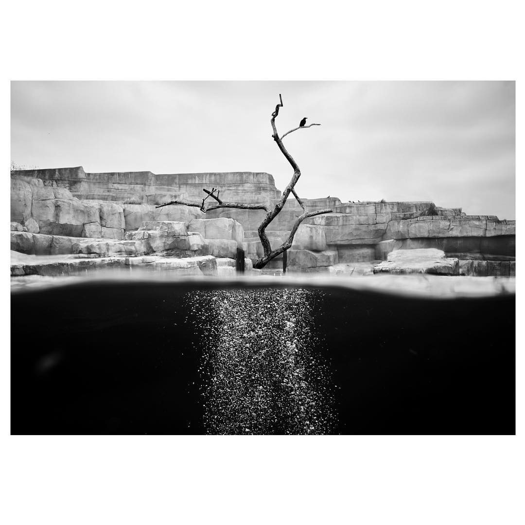 Paris: Download Error