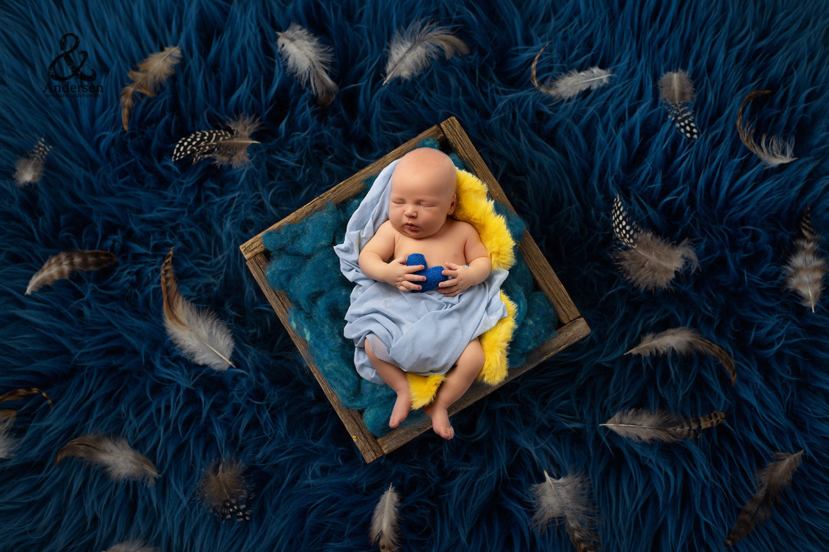 Обучение фотосъемке новорожденных. Фотограф новорожденных в Самаре Марья Андерсен