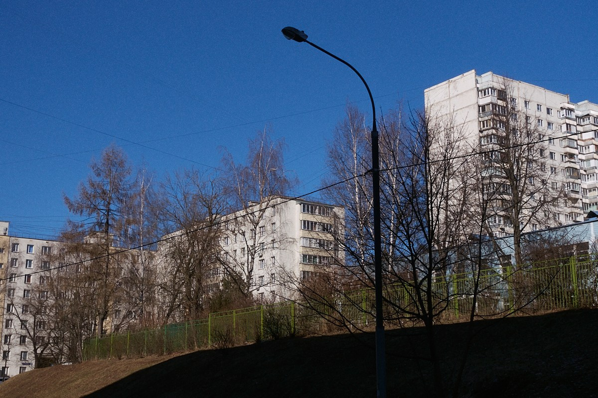 Дневной Сон. Иван Кобяков