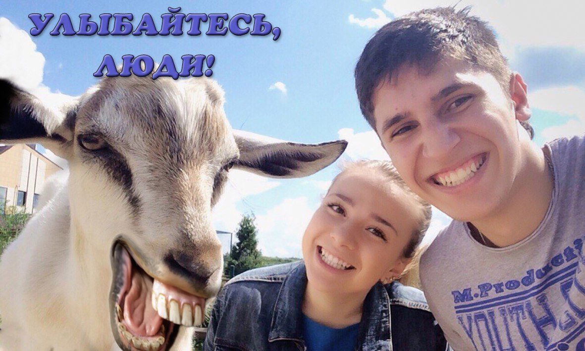 Никита и Мария. Ведущая частных и корпоративных событий Татьяна Новрузова