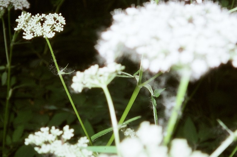 Let there be light. Maria Barakova