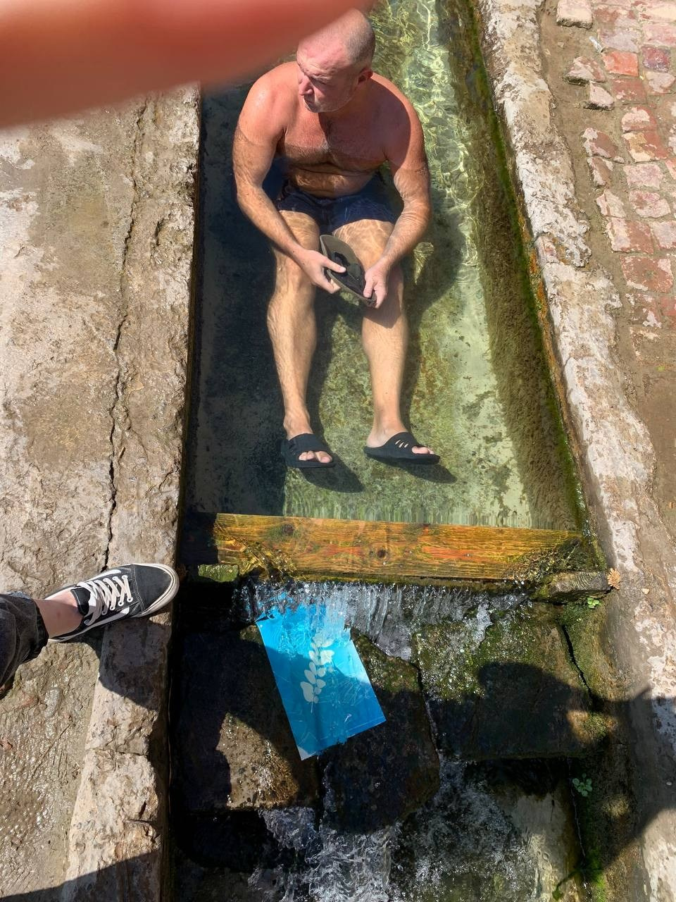 МК по дикой цианотипии, 20 августа 2023, Ростов-на-Дону. Лера Круглова