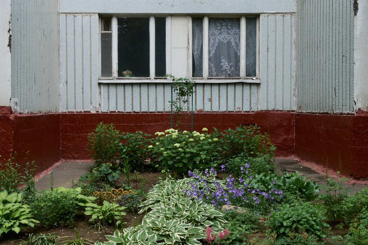 Сезон цветения полыни. Иван Кобяков