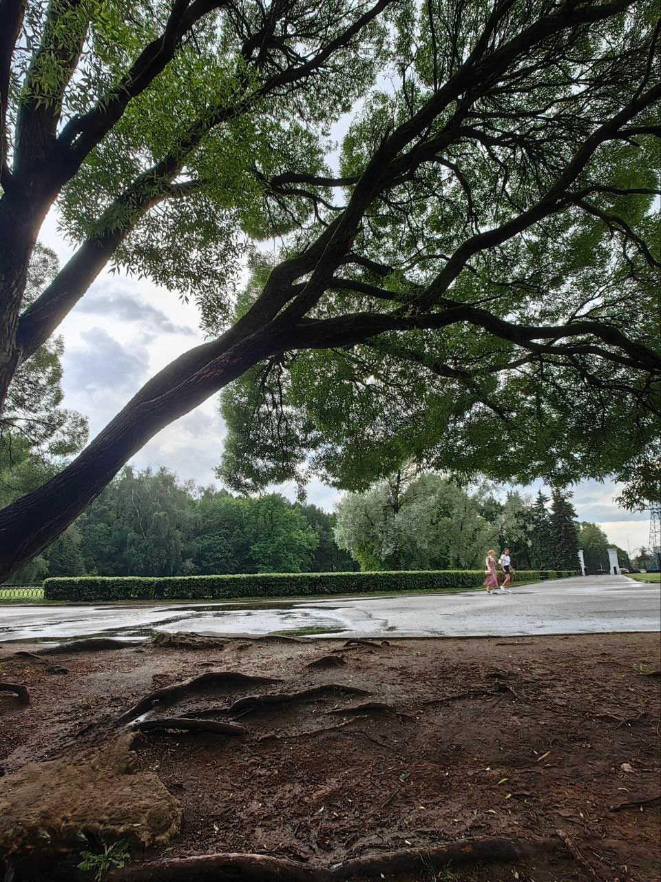 Парк БОТАНИЧЕСКИЙ САД обзор. Фотограф в Москве и Московской области (Ю-В) Олеся Макарова
