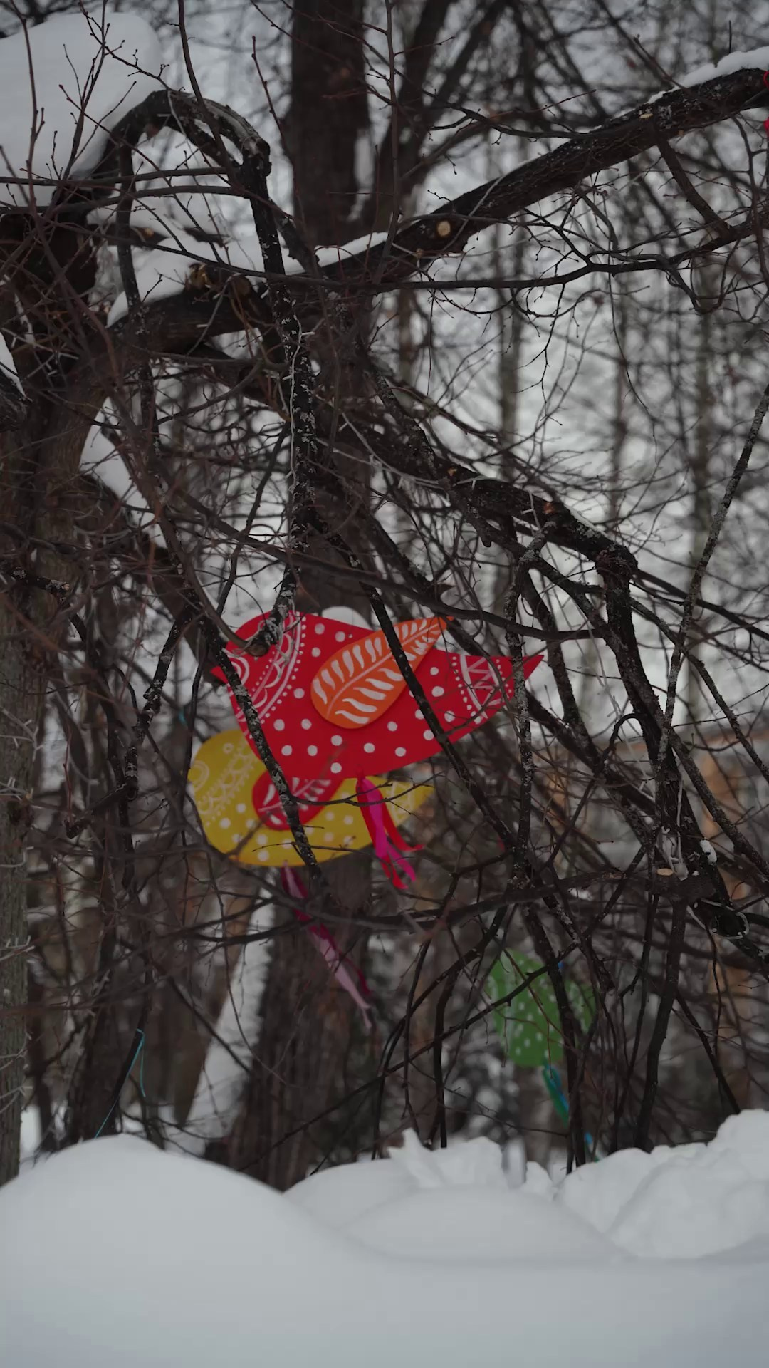 МЕРОПРИЯТИЯ. Рилсмейкер Ульянова Юлия