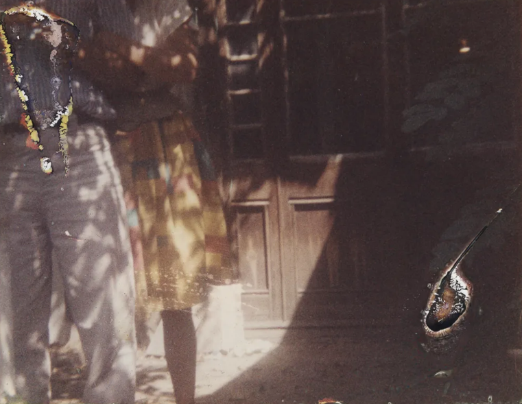 Проект Риты Пуч-Серра (Rita Puig-Serra) «Anatomy of an Oyster». Private image