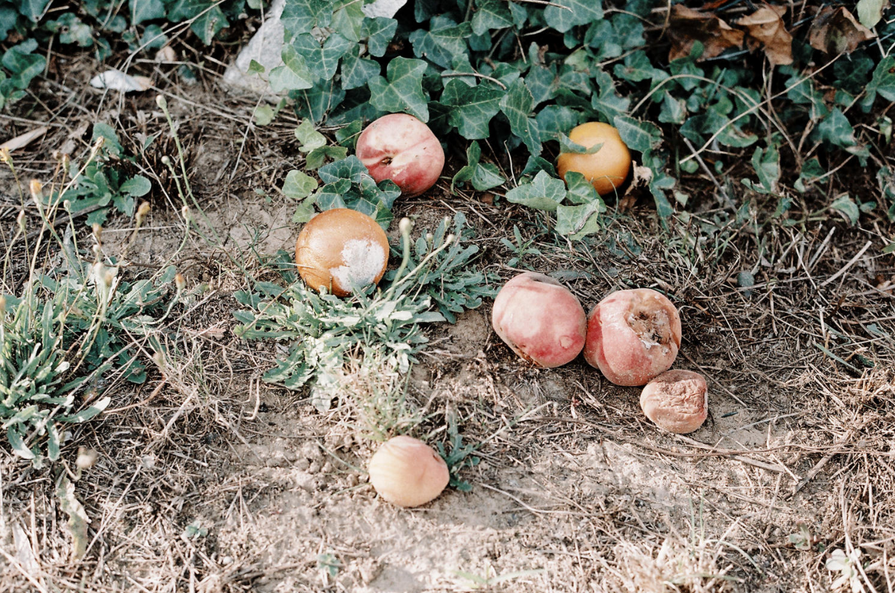 Книга Франсуа Жонке (François Jonquet) «Forage». Private image