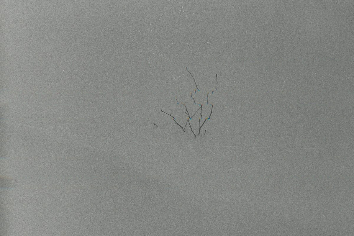 Несущественные детали. Иван Кобяков