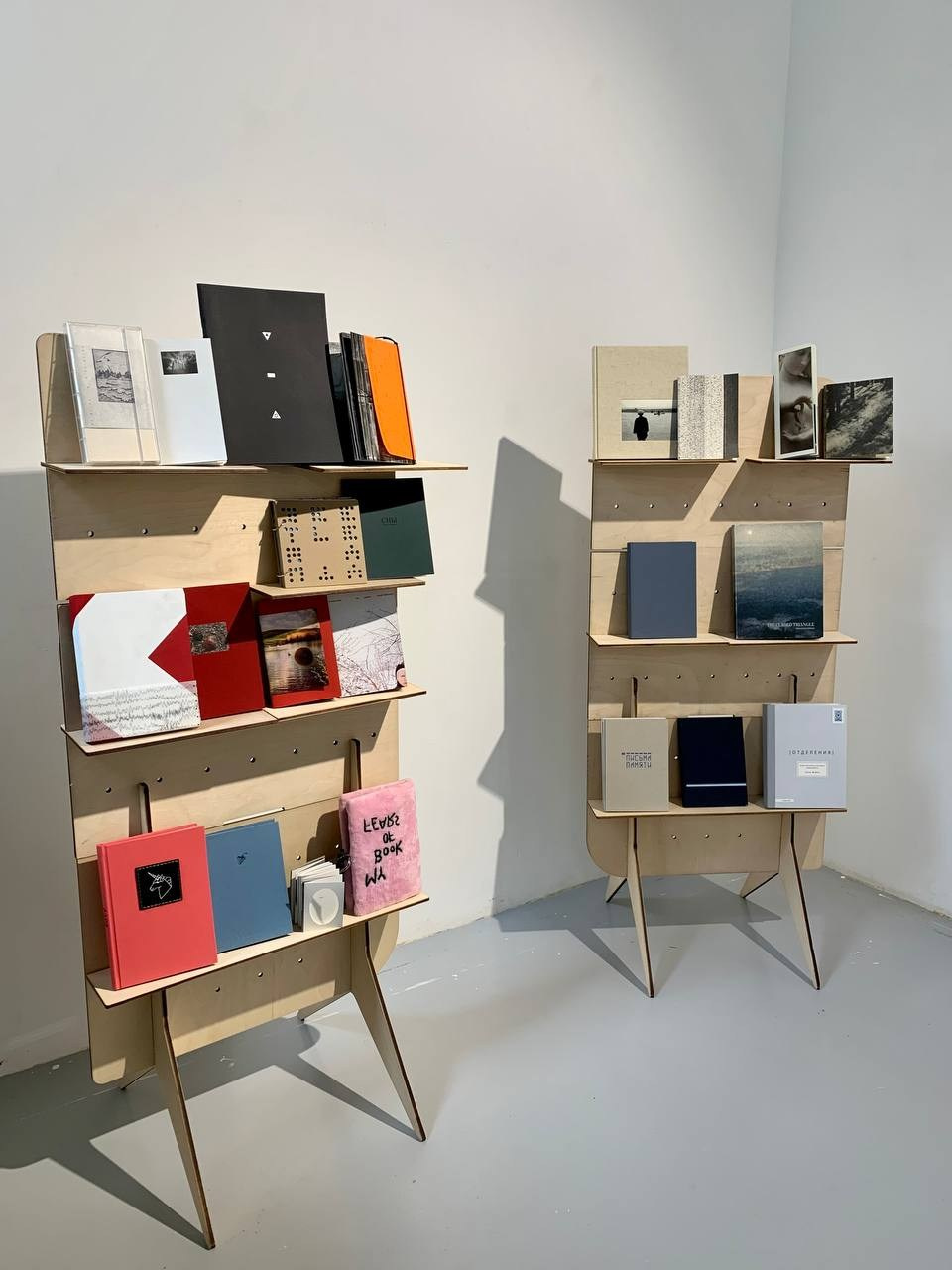 Zeitgeist. Asya Bobritskaya is a multidisciplinary artist