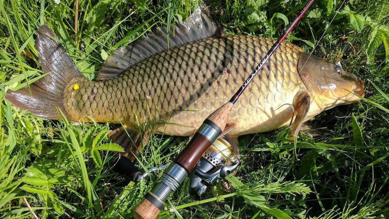 Закрытие сезона рыбалки. Оздоровительный комплекс Шалово-парк Серебряные ключи