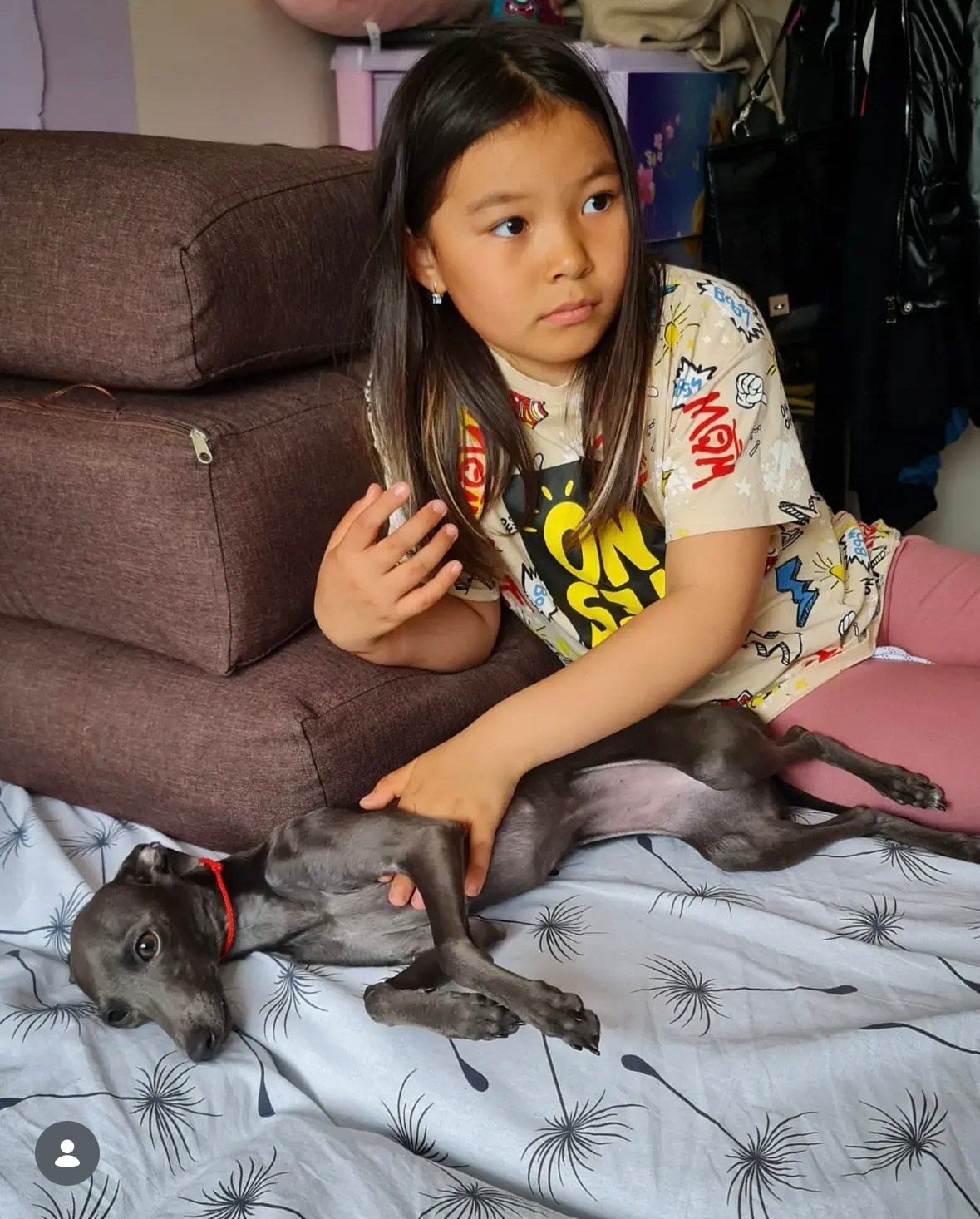 Левретка и ребенок: нежная дружба. Профессиональный питомник левреток РКФ/FCI ASTI SAPPHIRE 💎 Сочи|Санкт-Петербург