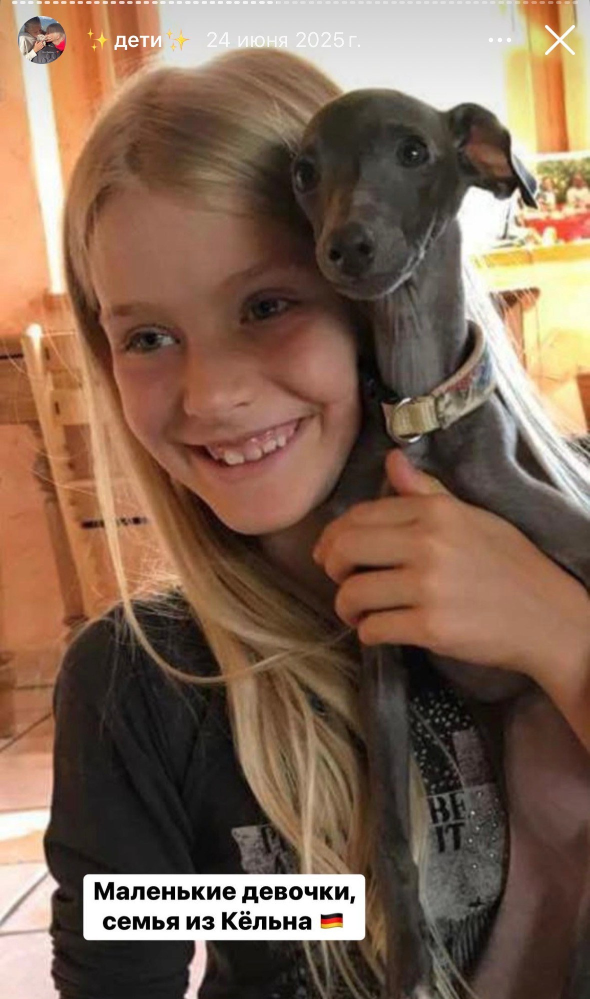 Левретка и ребенок: нежная дружба. Профессиональный питомник левреток РКФ/FCI ASTI SAPPHIRE 💎 Сочи|Санкт-Петербург