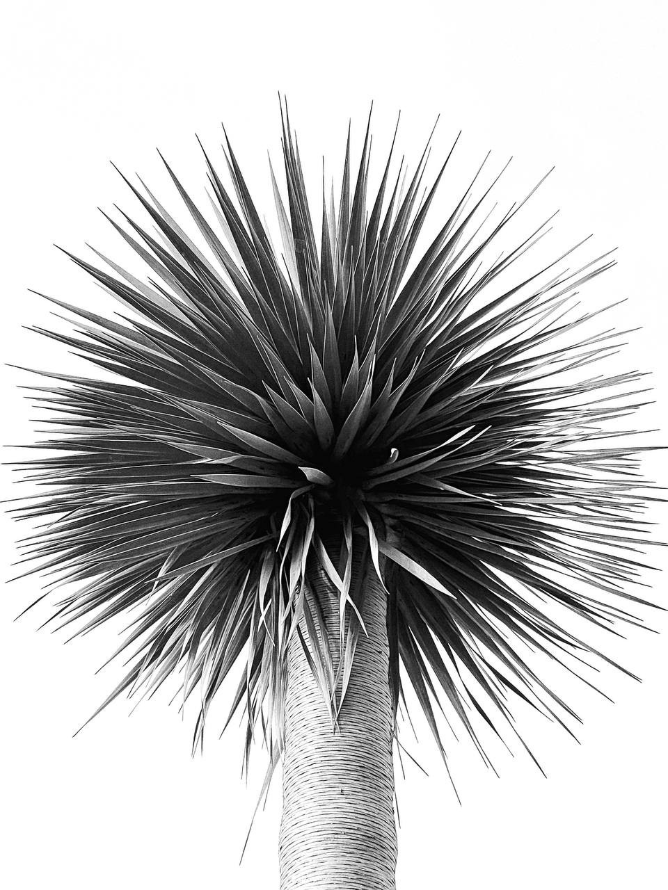 Фотолагерь. ARTDARY | Фотограф Дарья Грицай