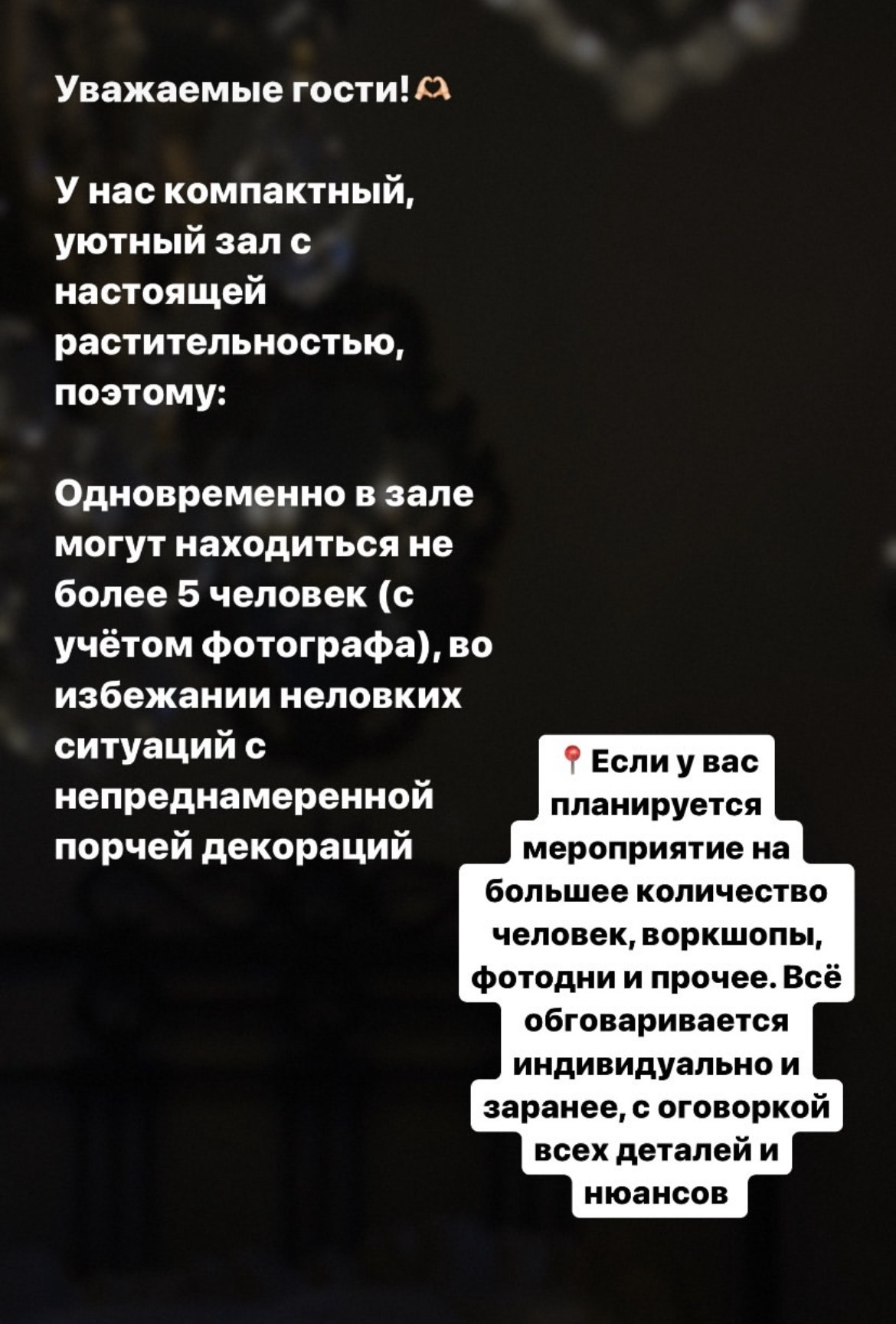 ЛЕС (скв. Карла Маркса). Семейный и детский фотограф |Брянск| Анастасия Перепелкина