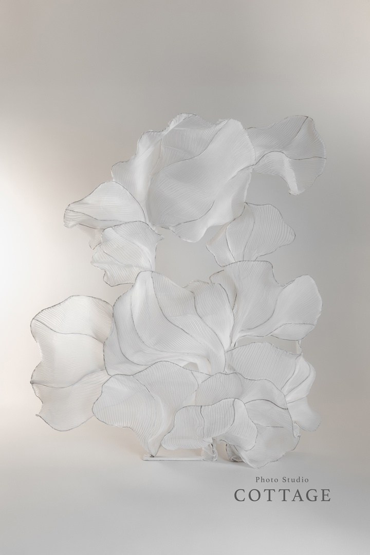 Фотостудия Cottage. Фотограф беременных в СПб — Елена Александрова