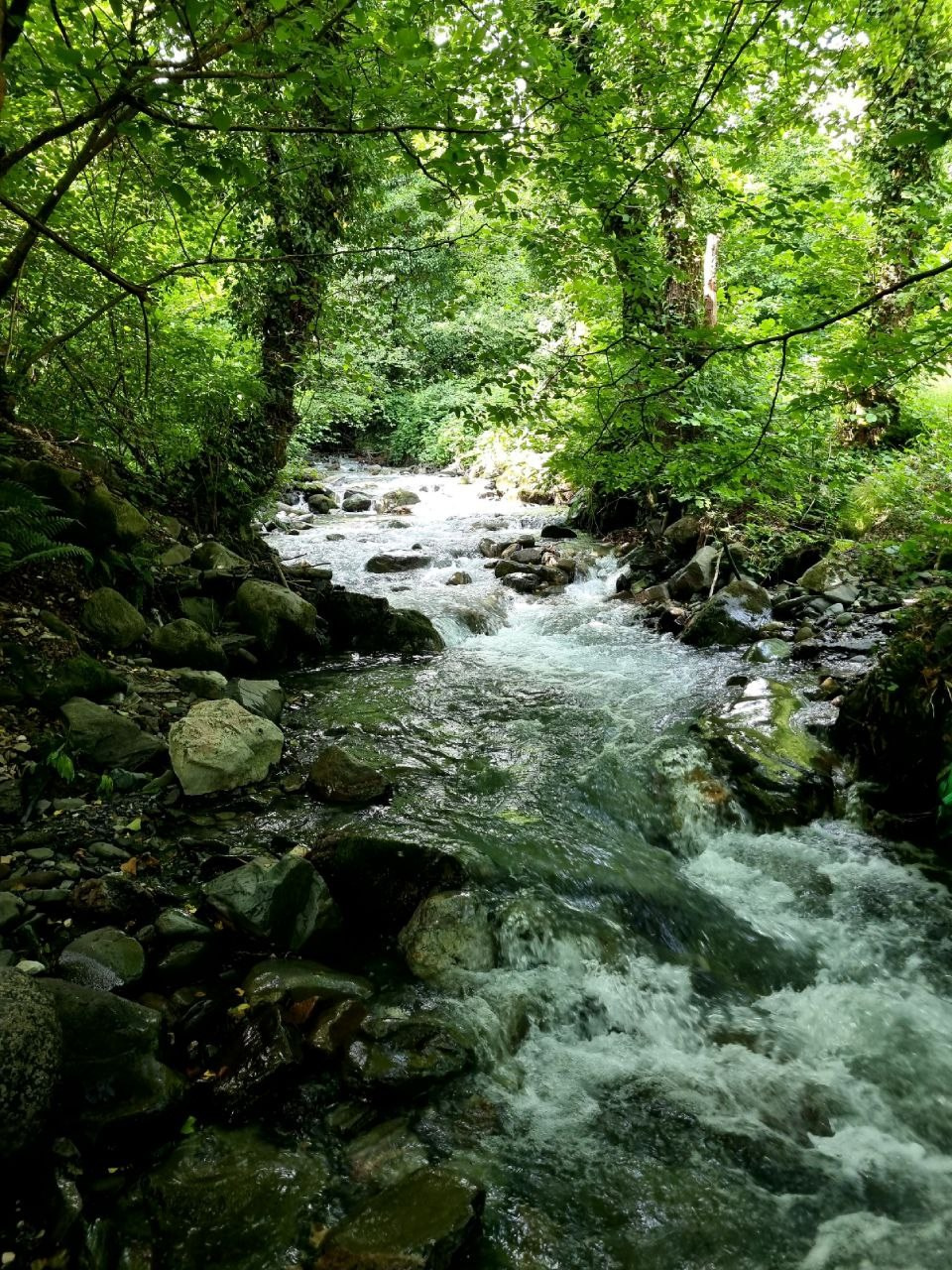 ФотоТуры. Фотограф Красная поляна|Сочи|Сириус