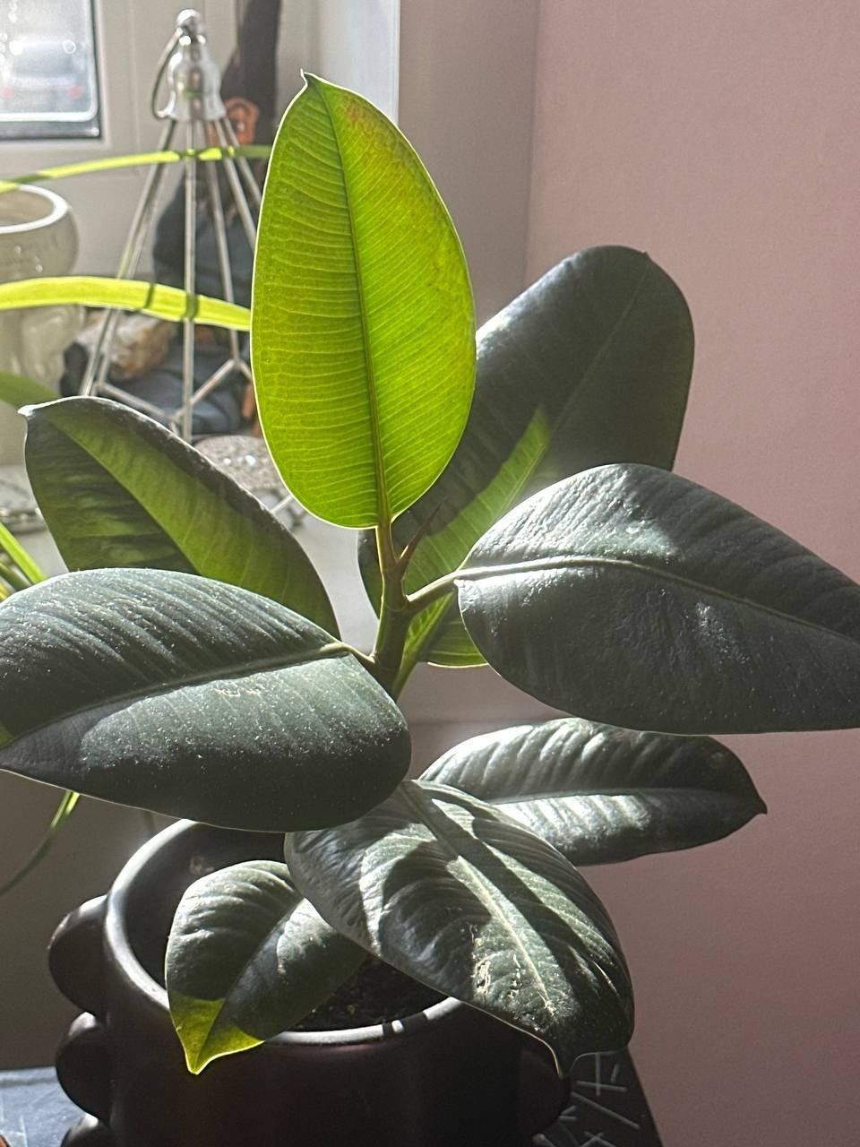 N2, Взгляд через вещи на историю семьи и страны. Портретный и репортажный фотограф Наталья Горобец