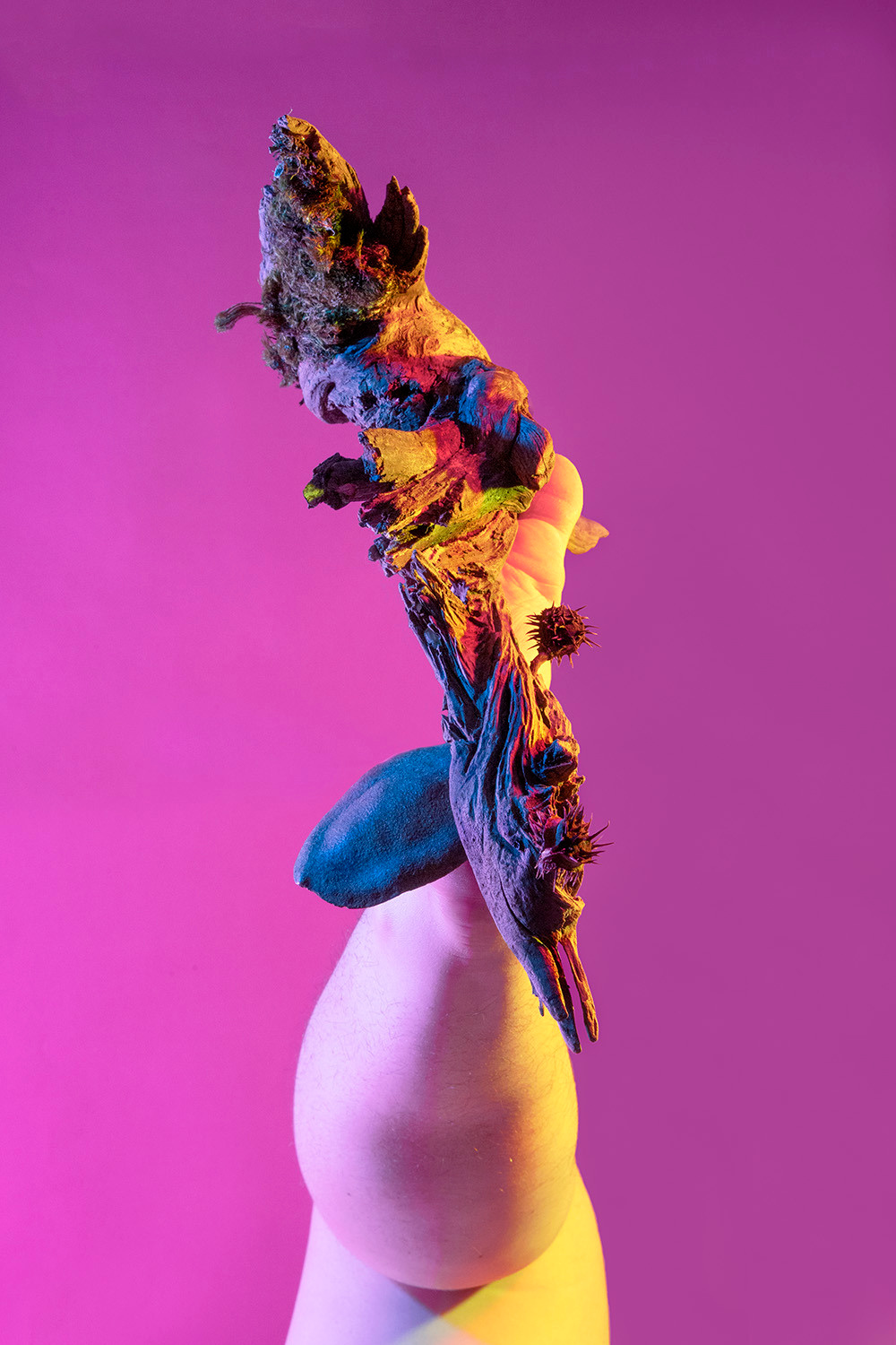 Assemblage (2019–2022)