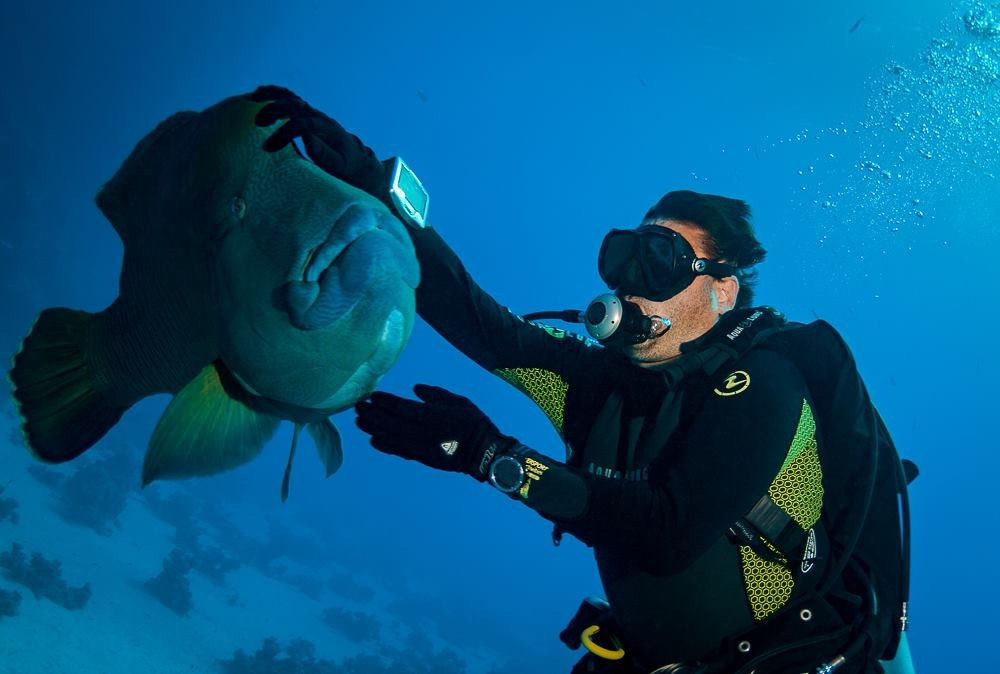 Дайвинг-туры. Дайвинг-клуб «Капитан Морган», Беларусь