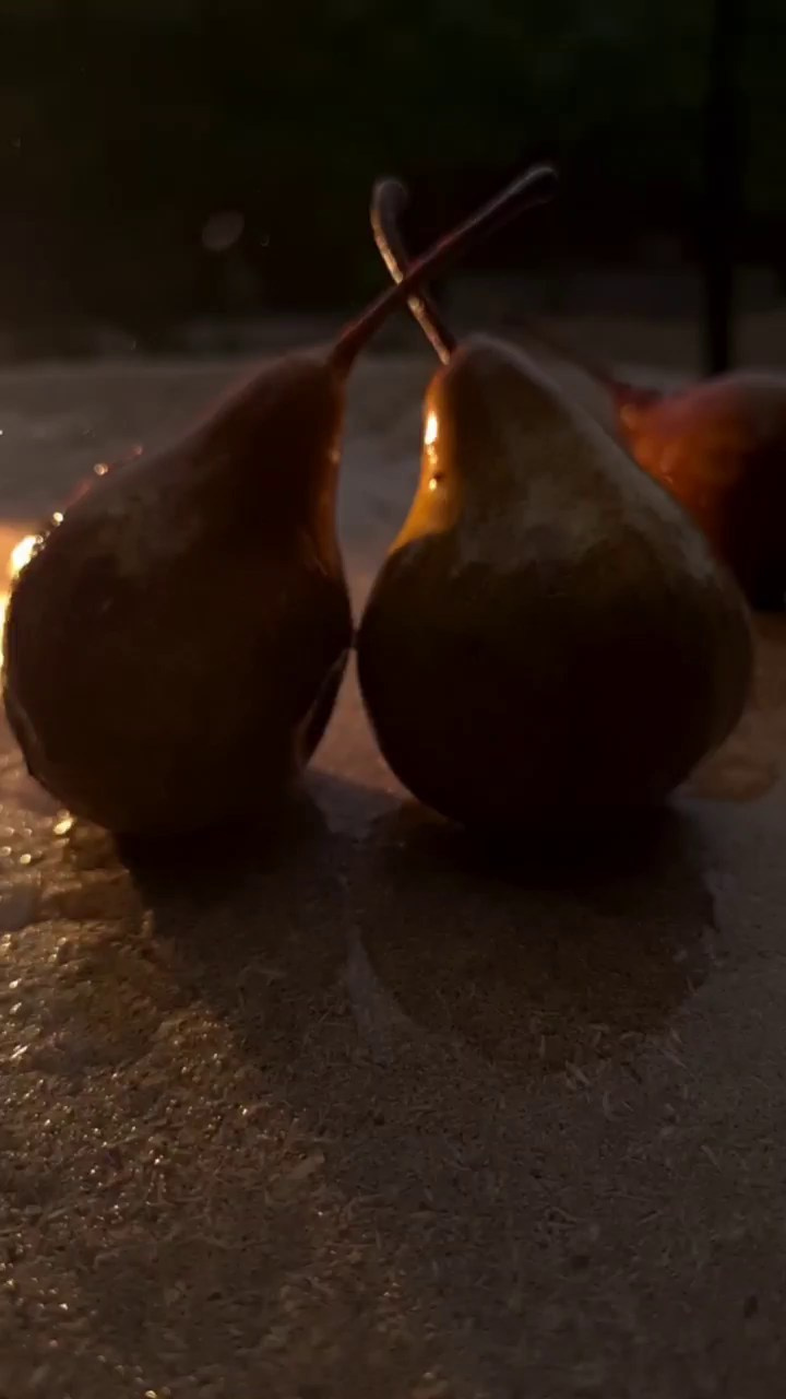 МОБИЛЬНАЯ ВИДЕОГРАФИЯ