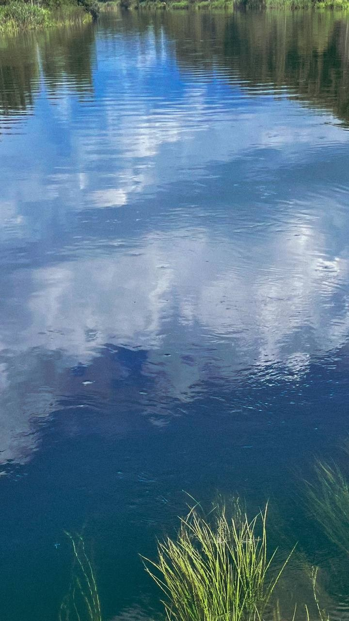 Марафон креативной фотографии. Vladimir Borele Photographer