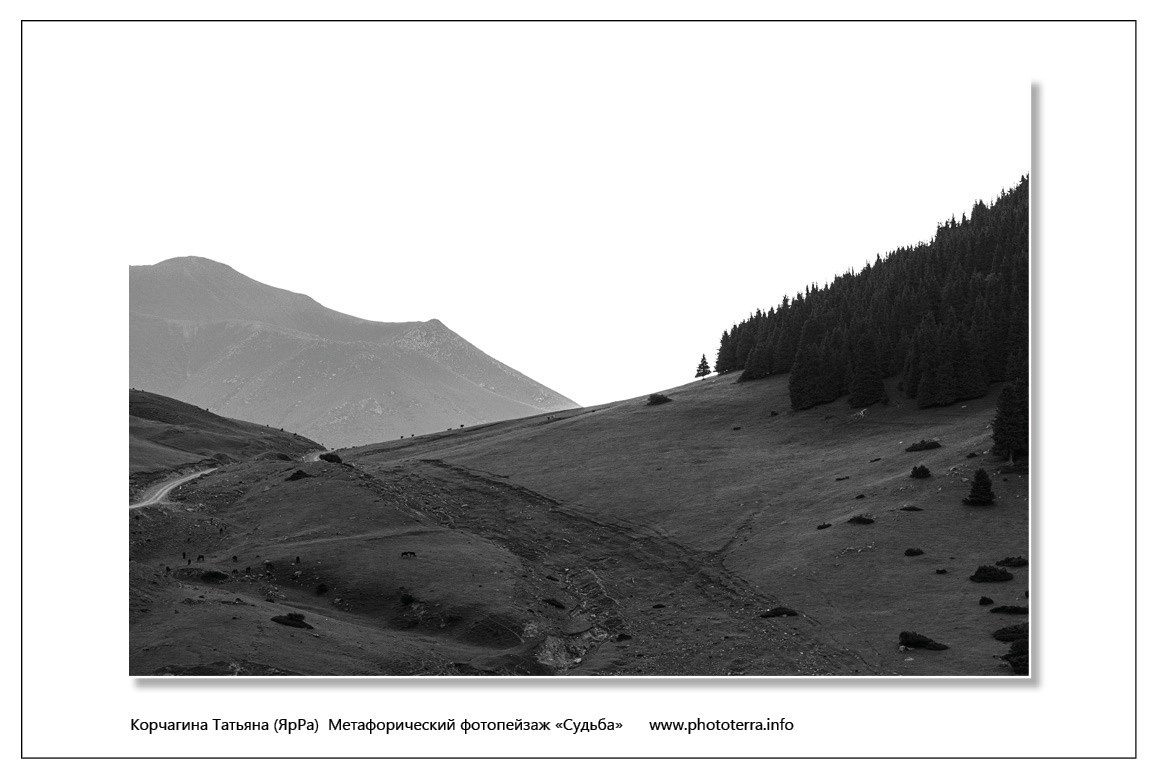 Перевал. Татьяна Корчагина. Фотограф, художник. Обучение фотографии