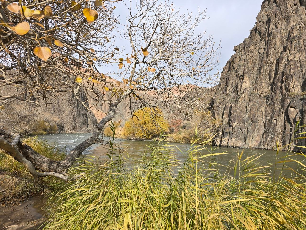 Экскурсия и тур в Чарынский каньон в Алматы