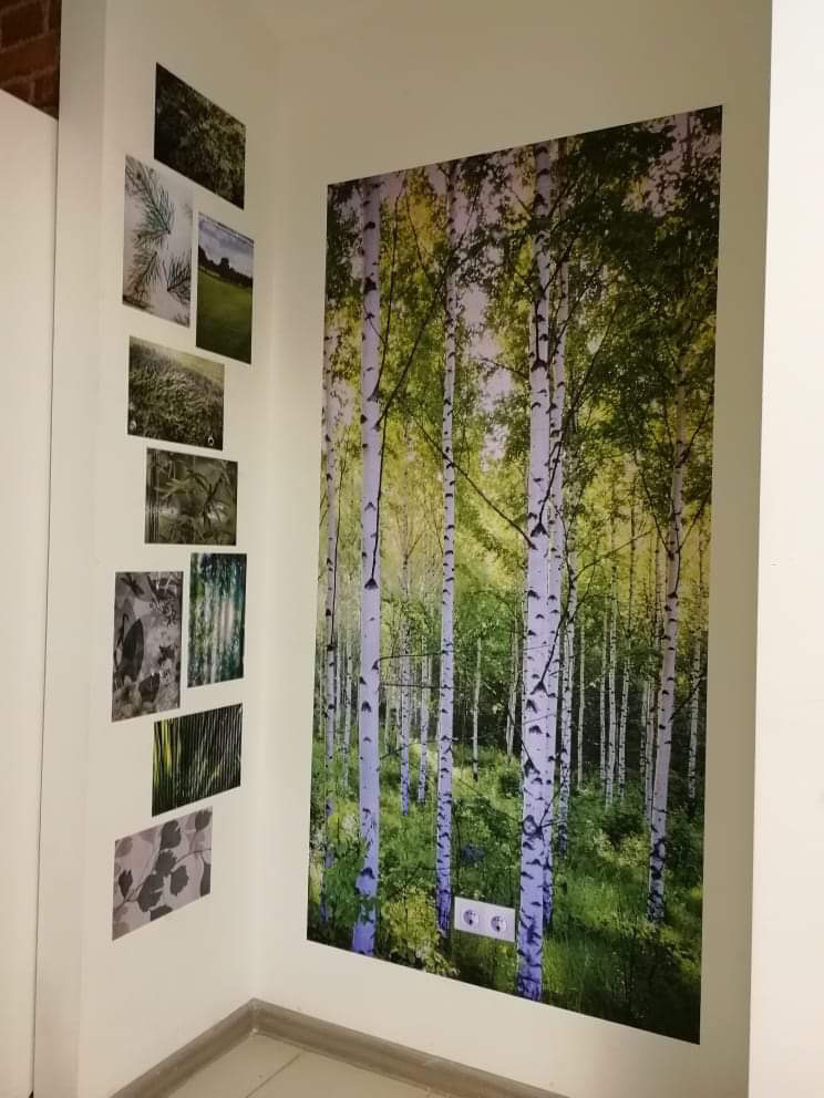 Будущее природы. Фотограф Анна Назарова