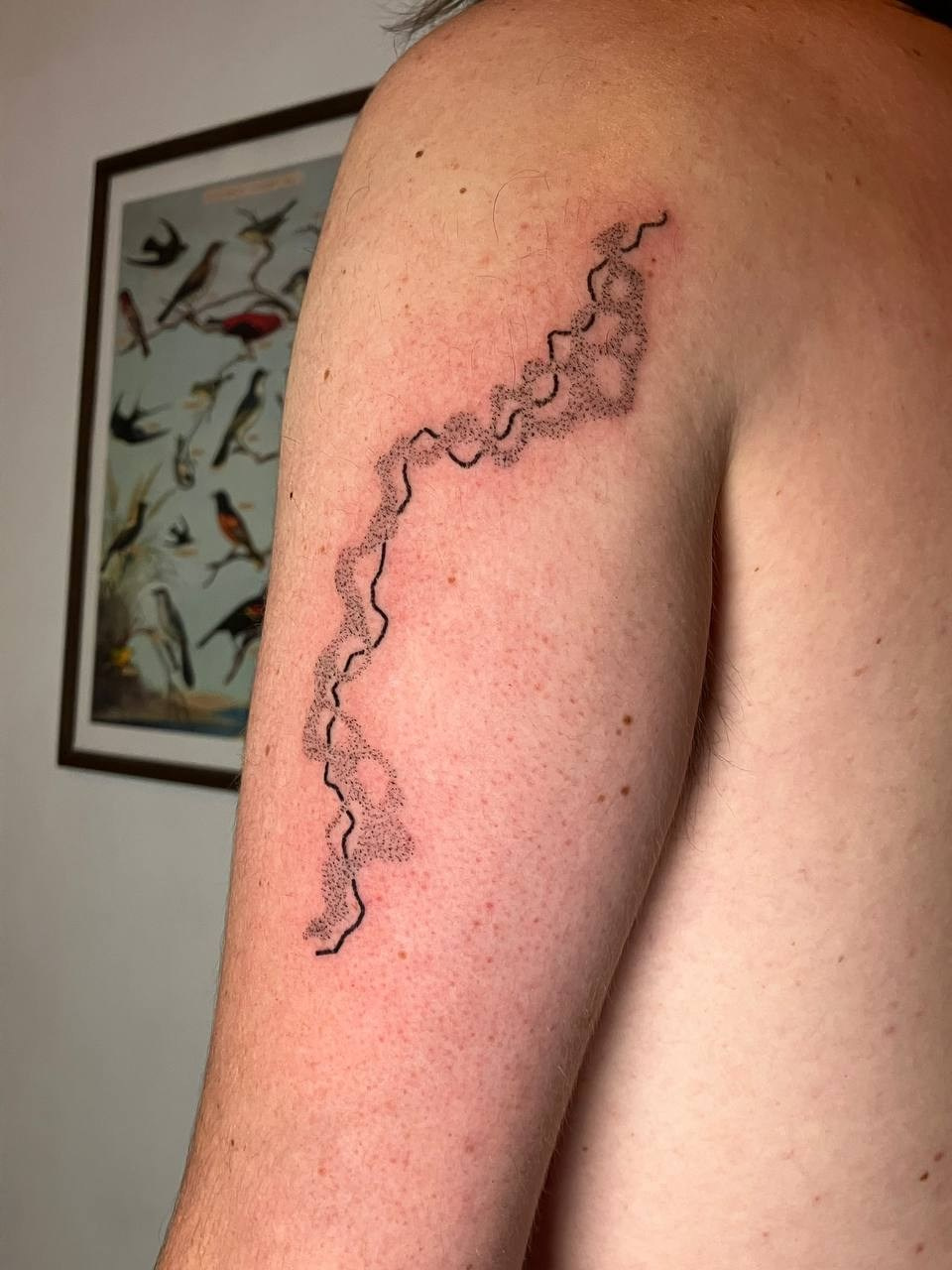 TATTOOS. Xexexena.ru