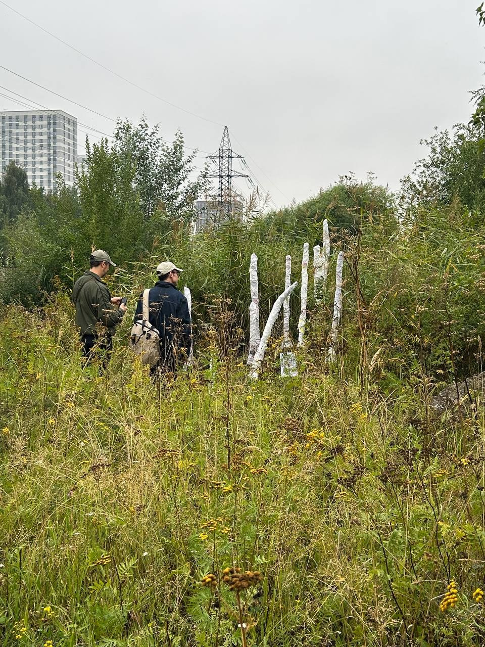 Красненькая биеннале. Санкт-Петербург. Лилия Ким. Междисциплинарный художник