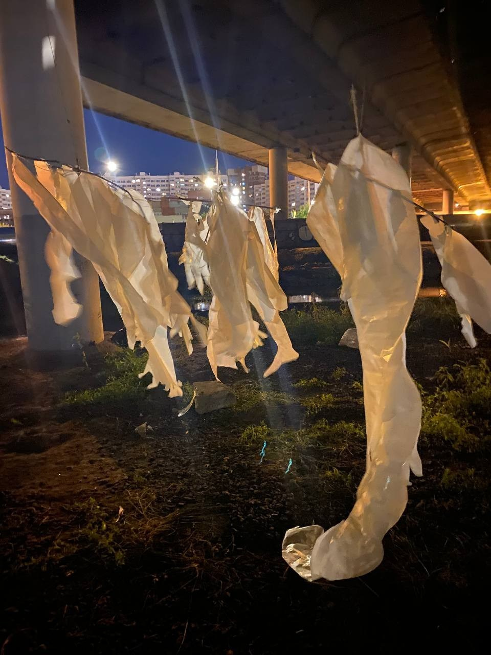 Красненькая биеннале. Санкт-Петербург. Лилия Ким. Междисциплинарный художник